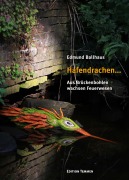 Cover-Bild zum Titel 'Hafendrachen...' von 'Edmund Ballhaus'