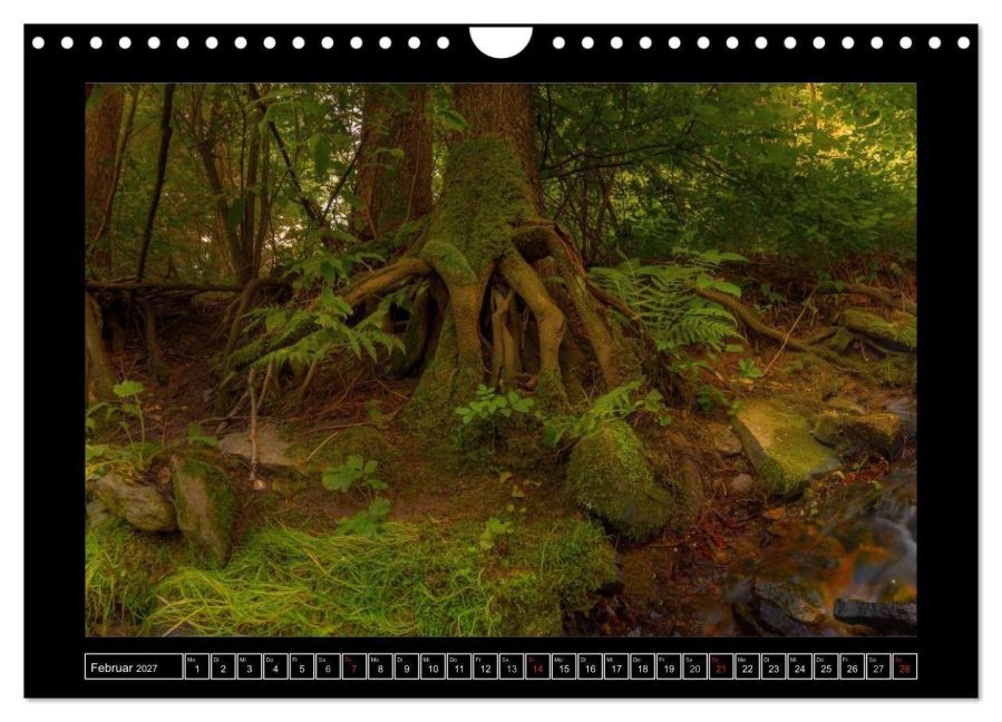 InsideView 7