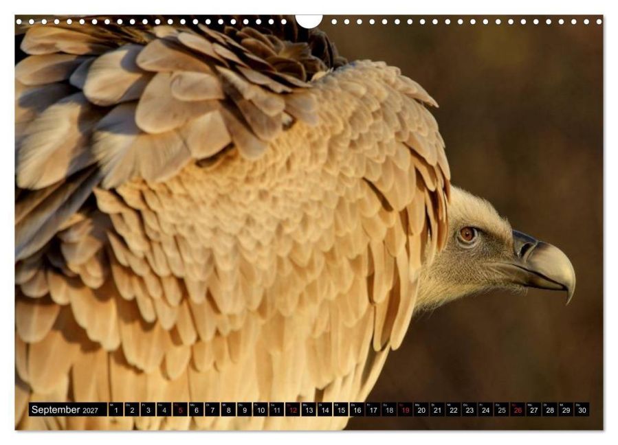 InsideView 14