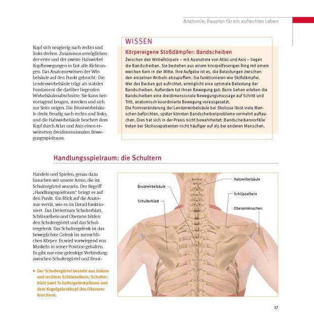 InsideView 16