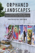 Orphaned Landscapes - Patricia Spyer