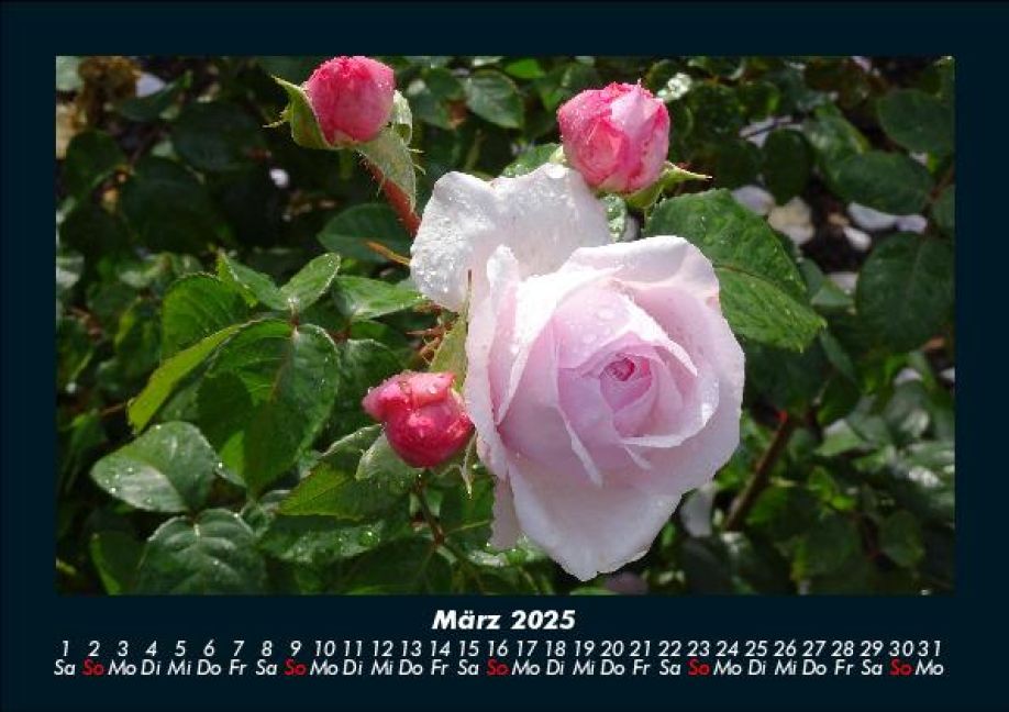 InsideView 7