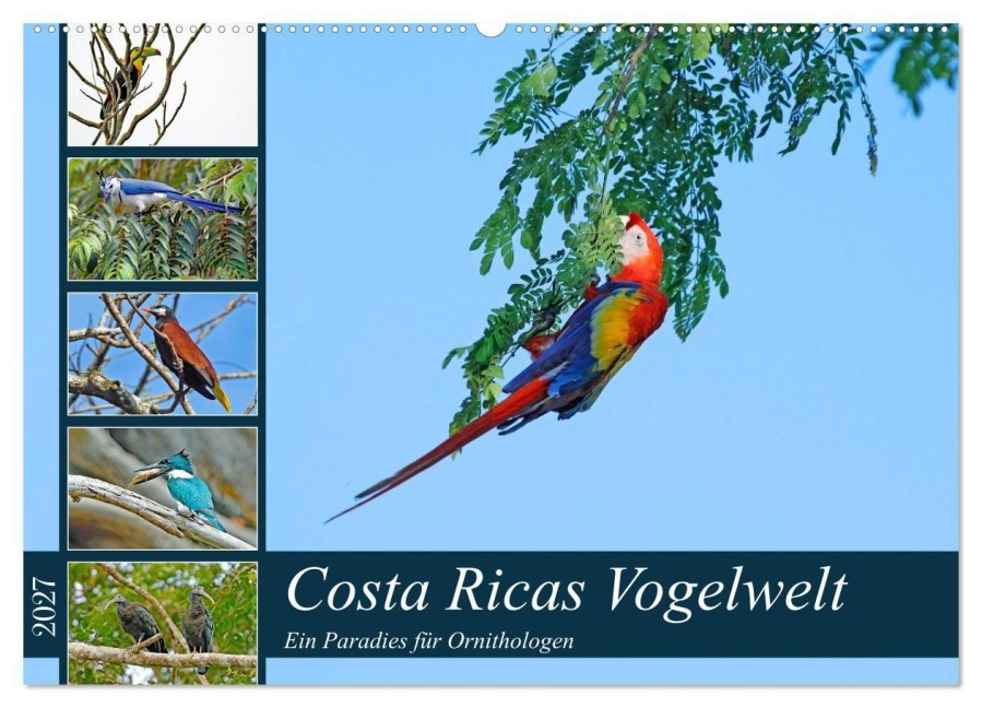 Costa Ricas Vogelwelt (Wandkalender 2027 DIN A2 quer), CALVENDO Monatskalender - Klaus Eppele