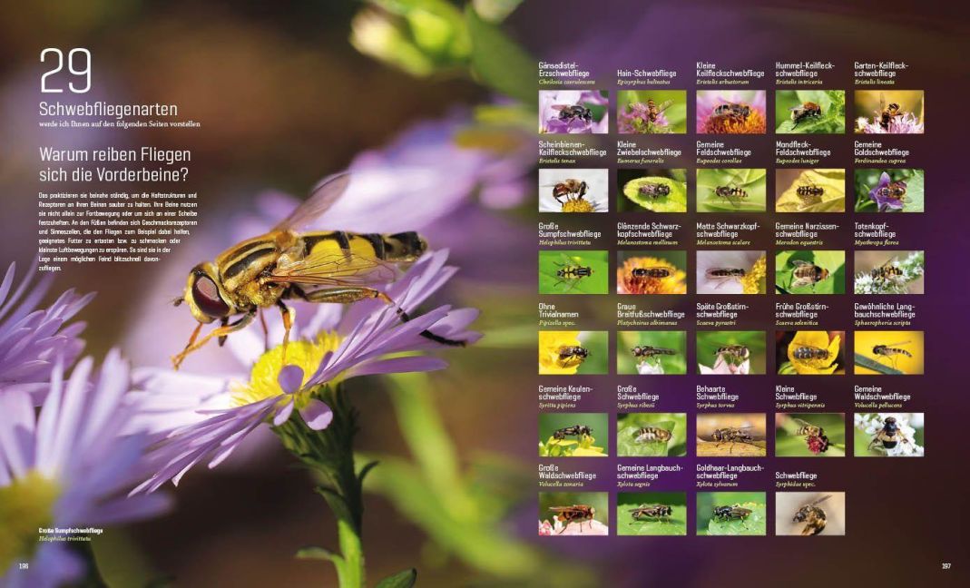 InsideView 14