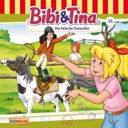 Cover-Bild zum Titel 'Die falsche Freundin' von 'Ulf Tiehm'