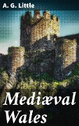 Cover-Bild zum Titel 'Mediæval Wales' von 'A. G. Little'
