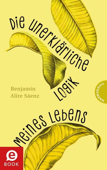 Die unerklärliche Logik meines Lebens - Benjamin Alire Sáenz