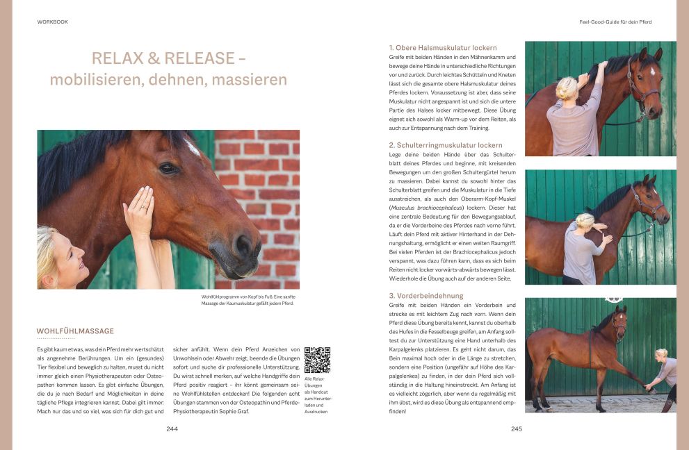 InsideView 8