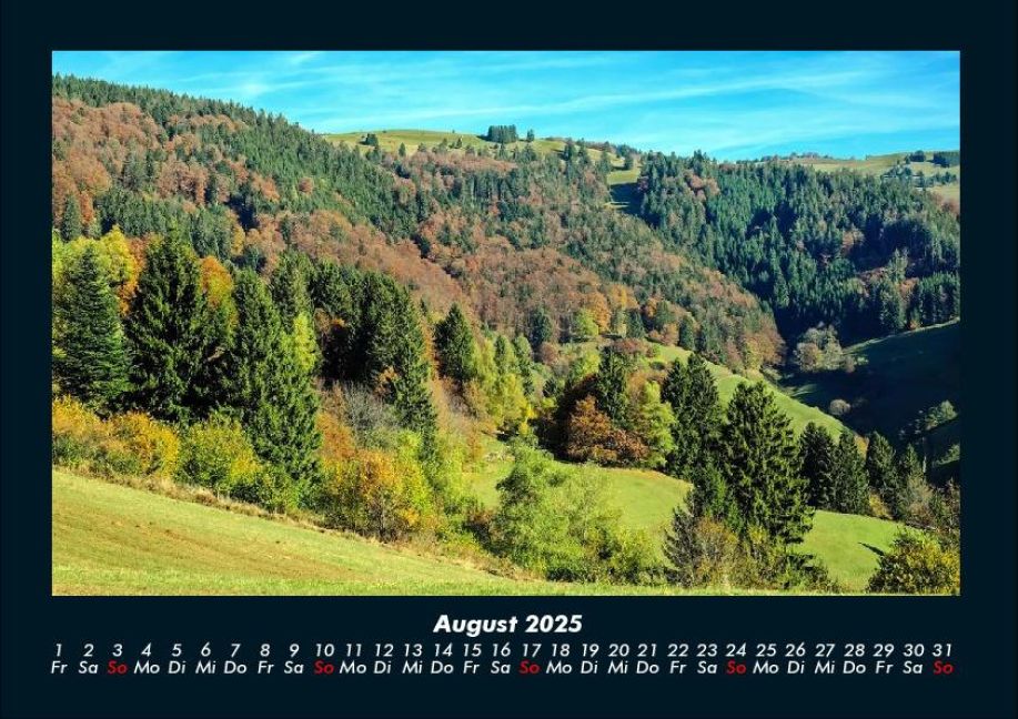 InsideView 12