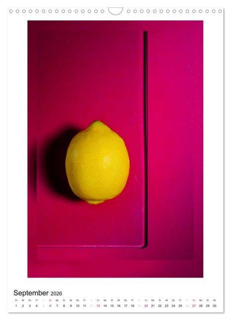 InsideView 14