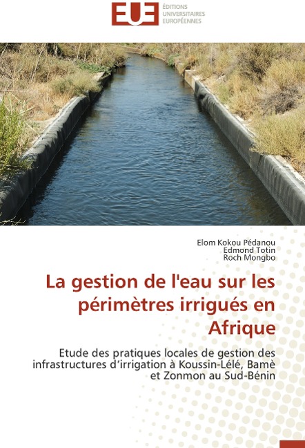 La gestion de l'eau sur les périmètres irrigués en Afrique - Elom Kokou Pedanou, Edmond Totin, Roch Mongbo