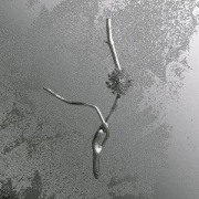 Cover-Bild zum Titel 'La Maccaia' von 'Gaia Banfi'