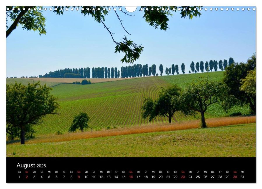 InsideView 13