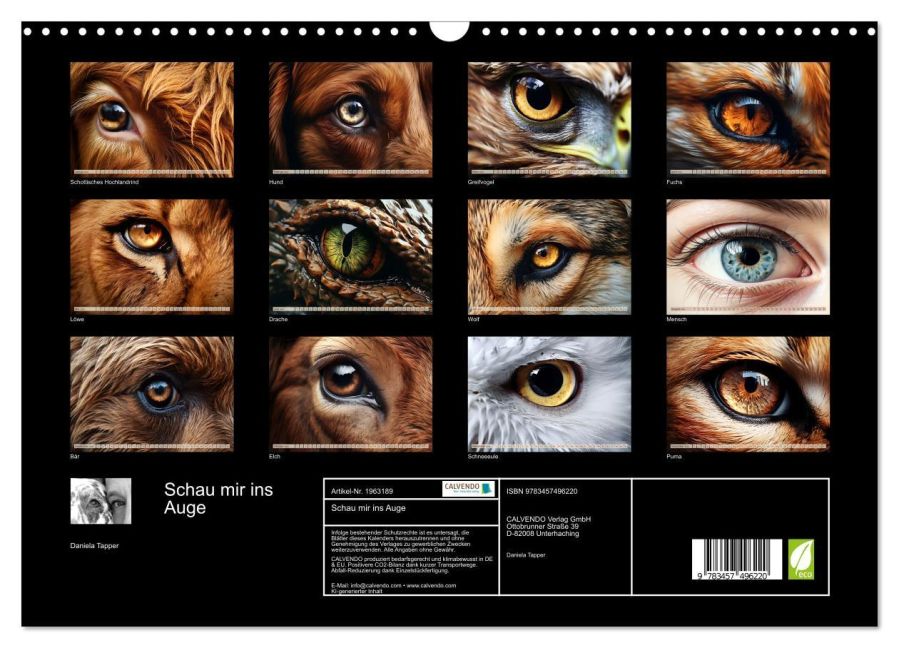 InsideView 5