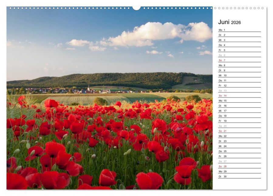InsideView 11