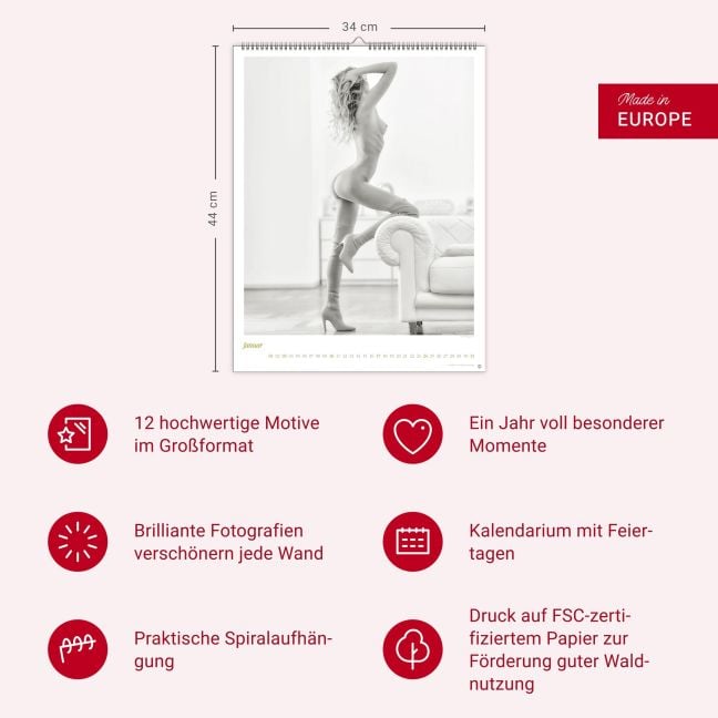 InsideView 13