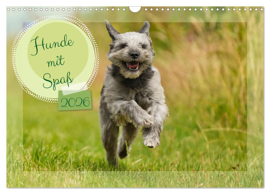 Hunde mit Spaß (Wandkalender 2026 DIN A3 quer), CALVENDO Monatskalender - Martina Fornal