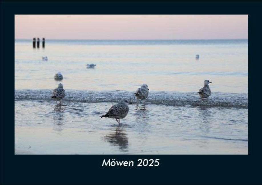 Möwen 2025 Fotokalender DIN A5 - Tobias Becker