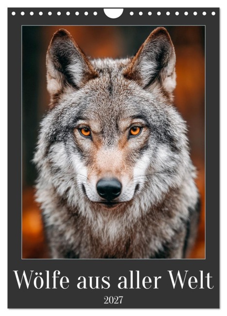 Wölfe aus aller Welt (Wandkalender 2027 DIN A4 hoch), CALVENDO Monatskalender - Mb Fotografie