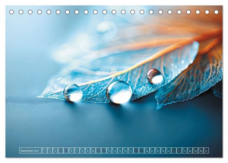 InsideView 4