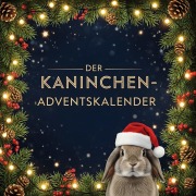 Cover-Bild zum Titel 'Der Kaninchen-Adventskalender' von 'Lucas Günther'