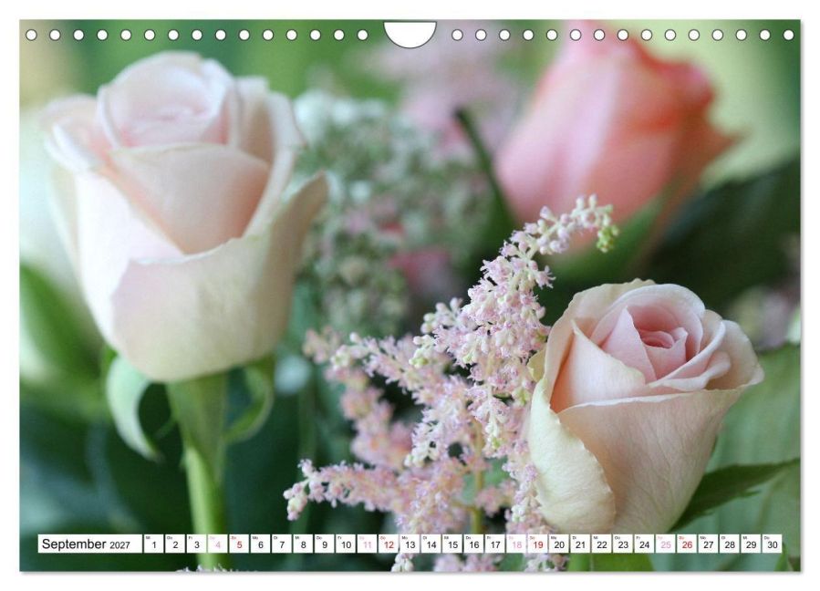 InsideView 14