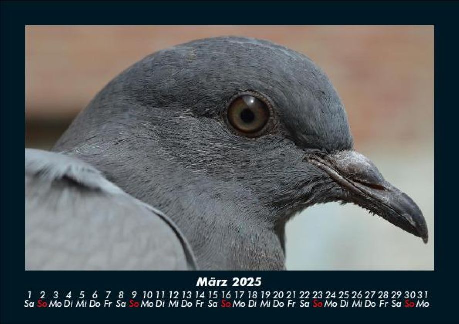 InsideView 7