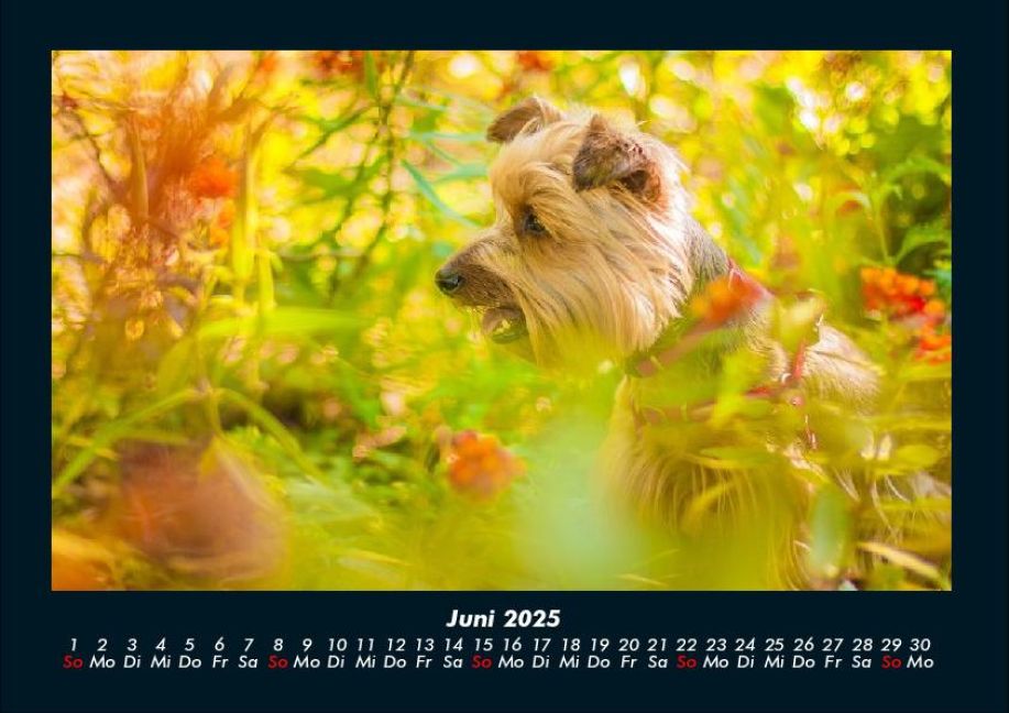 InsideView 10