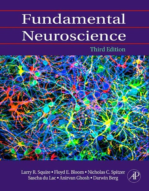 Fundamental Neuroscience - 