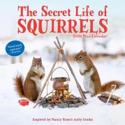 Cover-Bild zum Titel 'Secret Life of Squirrels Mini Wall Calendar 2026' von 'Nancy Rose, Workman Calendars'
