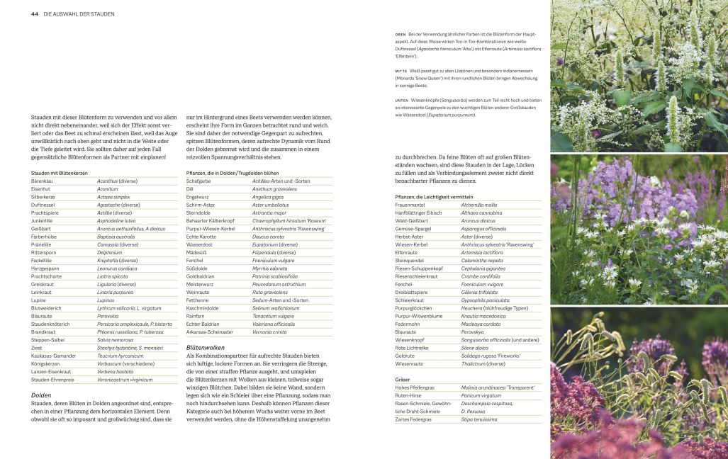 InsideView 5