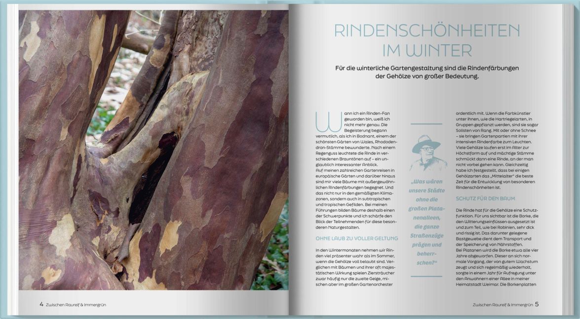 InsideView 2