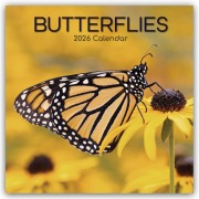 Butterflies - Schmetterlinge 2026 - 16-Monatskalender - Gifted Stationery Co. Ltd