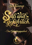 Cover-Bild zum Titel 'Das Geburtstagsgeschenk' von 'Sen Tommes'