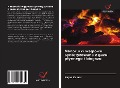 Cover-Bild zum Titel 'Nanorurki w¿glowe syntetyzowane z gazu p¿ynnego i biogazu' von 'Rajan Kumar'