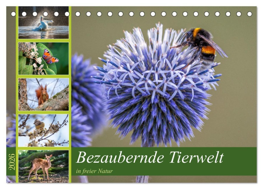 Bezaubernde Tierwelt in freier Natur (Tischkalender 2026 DIN A5 quer), CALVENDO Monatskalender - Thorsten Assfalg Photographie