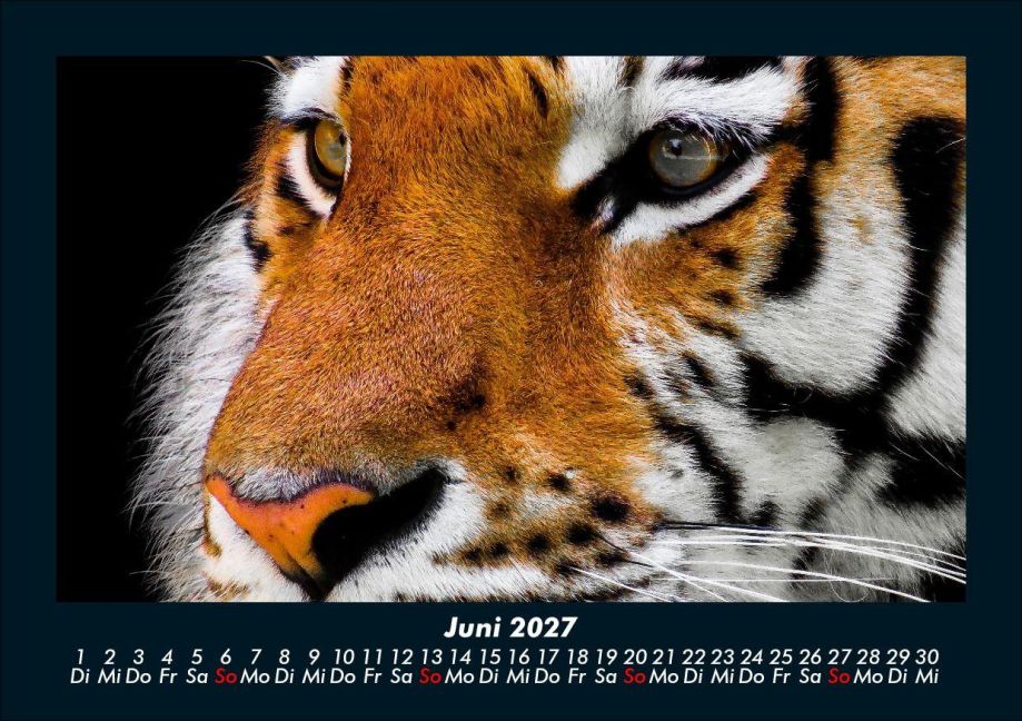 InsideView 10