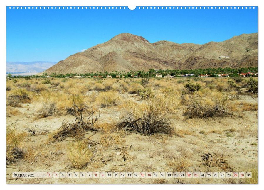InsideView 13
