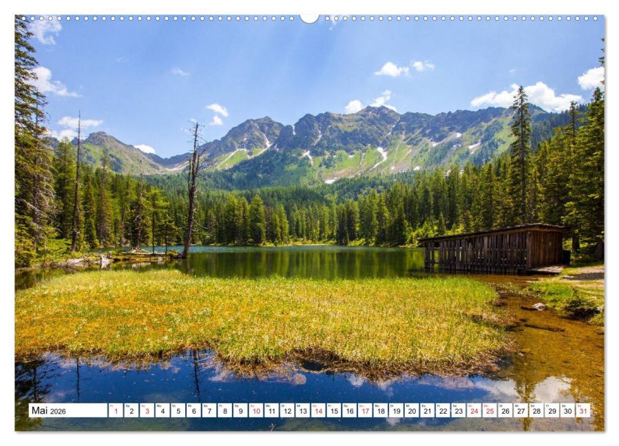 InsideView 10