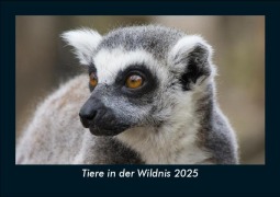 Cover-Bild zum Titel 'Tiere in der Wildnis 2025 Fotokalender DIN A5' von 'Tobias Becker'