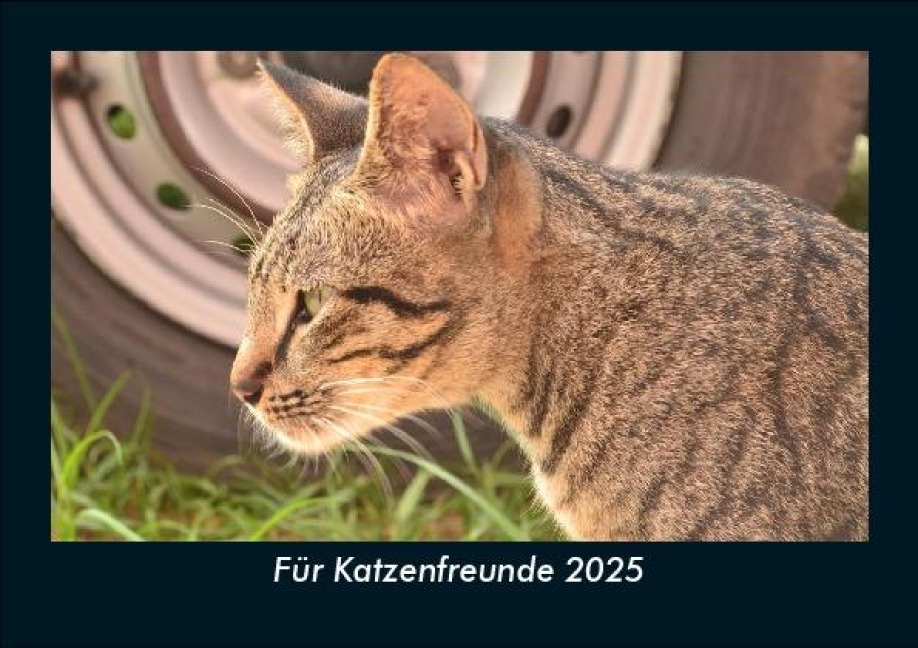 Für Katzenfreunde 2025 Fotokalender DIN A5 - Tobias Becker