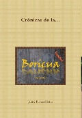 Cover-Bild zum Titel 'Crónicas de la Boricua; Descifradas' von 'Jaime Rivera Sierra'