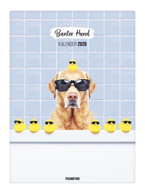 Wandkalender 2026 - Bunter Hund - 