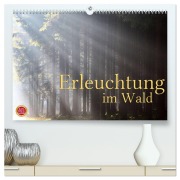 Erleuchtung im Wald (hochwertiger Premium Wandkalender 2026 DIN A2 quer), Kunstdruck in Hochglanz - Martina Cross