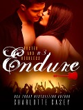 Cover-Bild zum Titel 'Endure (Rusted and Reckless, #3)' von 'Charlotte Casey'