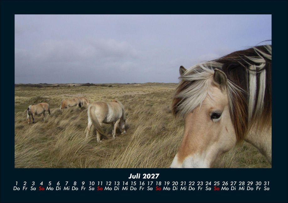 InsideView 11