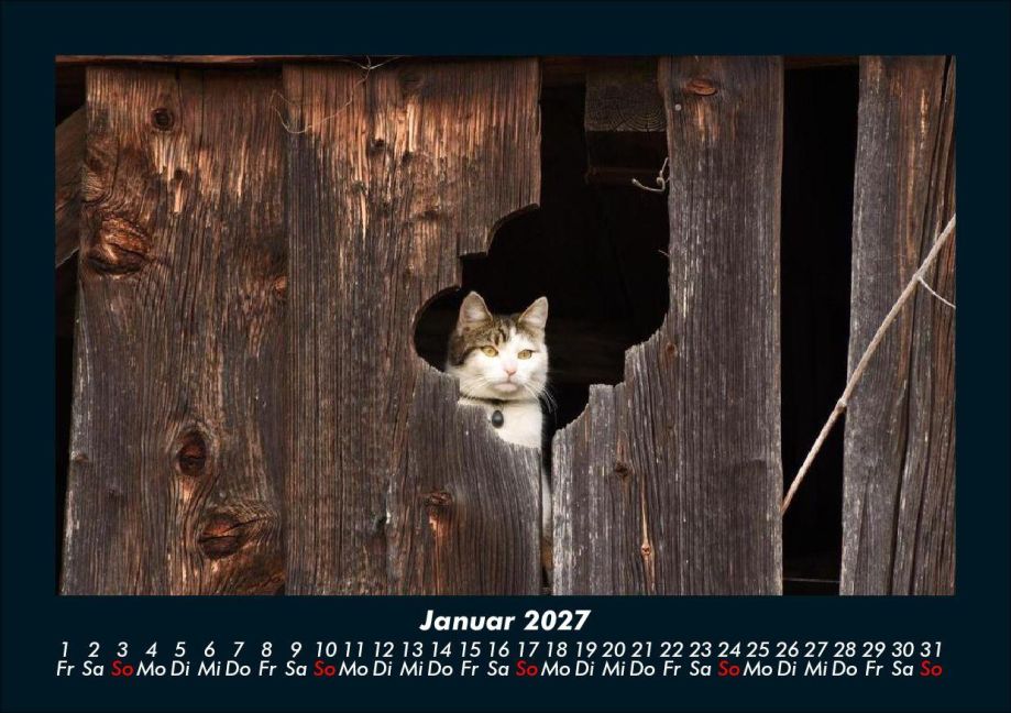 InsideView 5