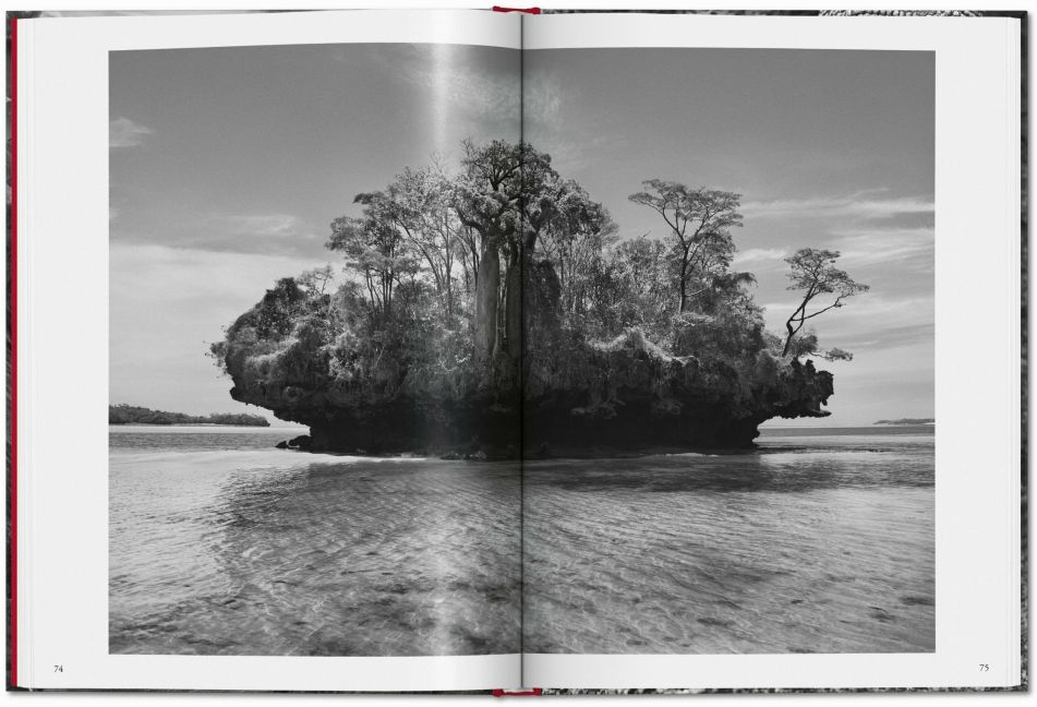 InsideView 5