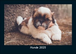 Cover-Bild zum Titel 'Hunde 2025 Fotokalender DIN A5' von 'Tobias Becker'