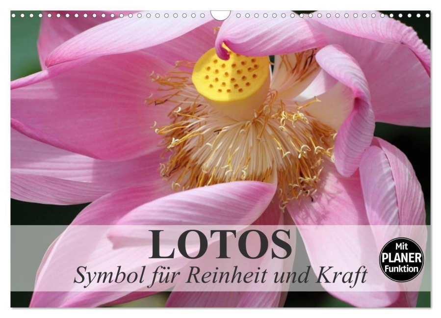 Lotos. Symbol für Reinheit und Kraft (Wandkalender 2027 DIN A3 quer), CALVENDO Monatskalender - Elisabeth Stanzer